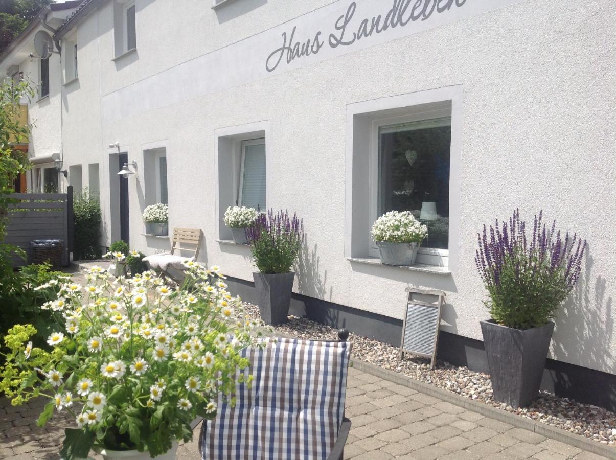 Appartement Kleine Landliebe à Hohwacht Extérieur photo
